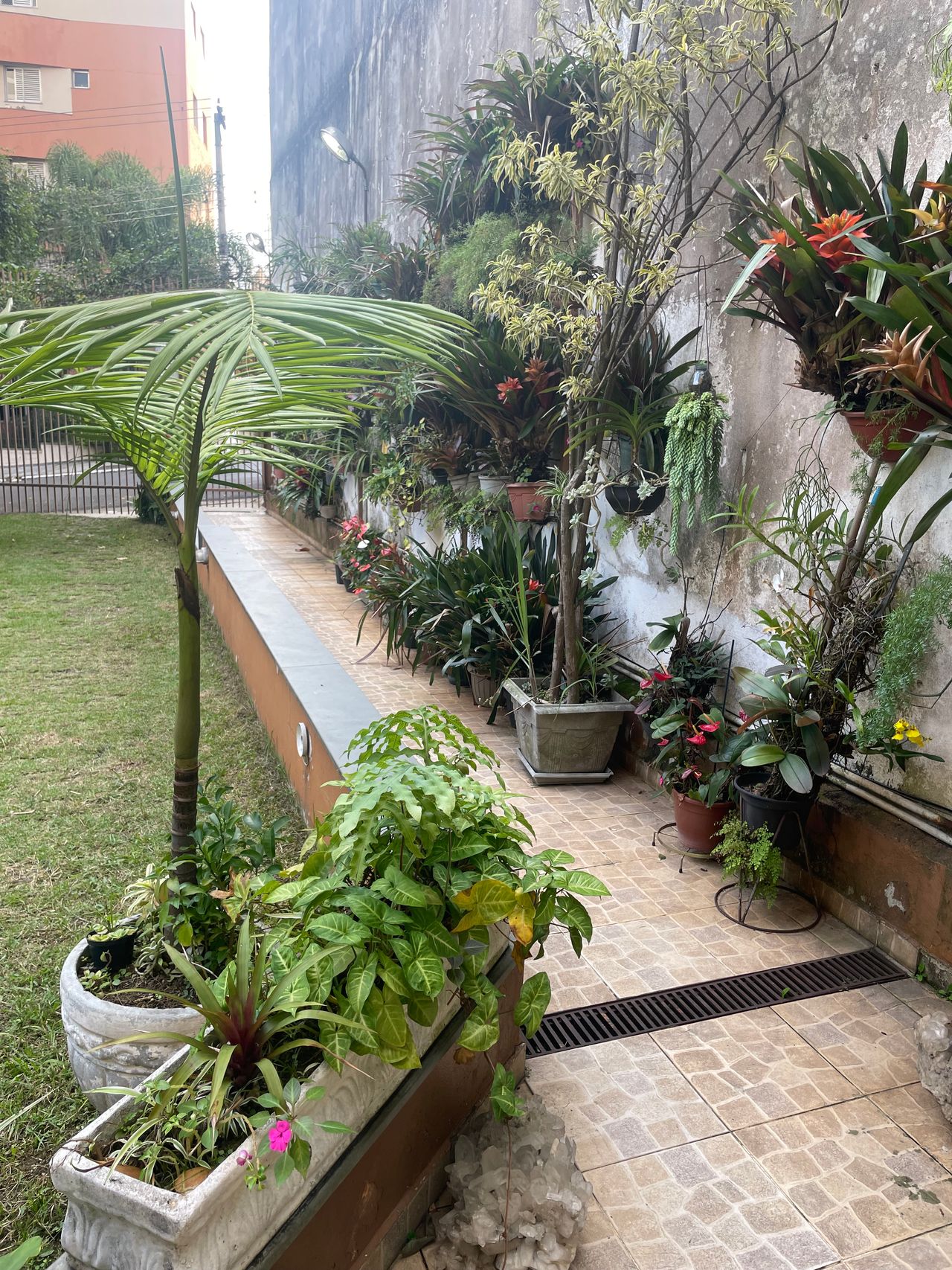 Fernanda De  Paula-3