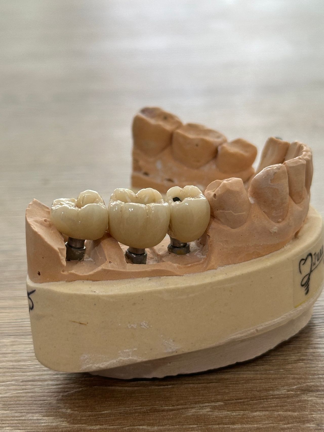 Camila Peñuela Munevar-9