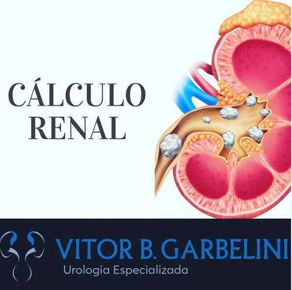 Vítor Brandani Garbelini-12