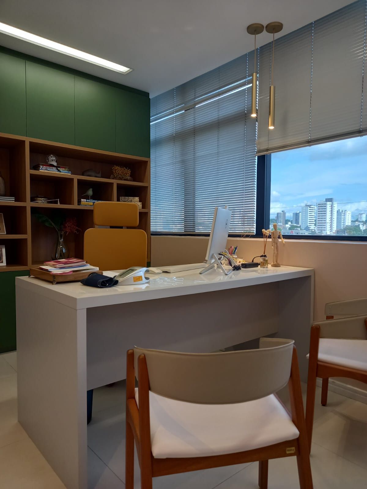 Helena Lucia Alves Pereira-3