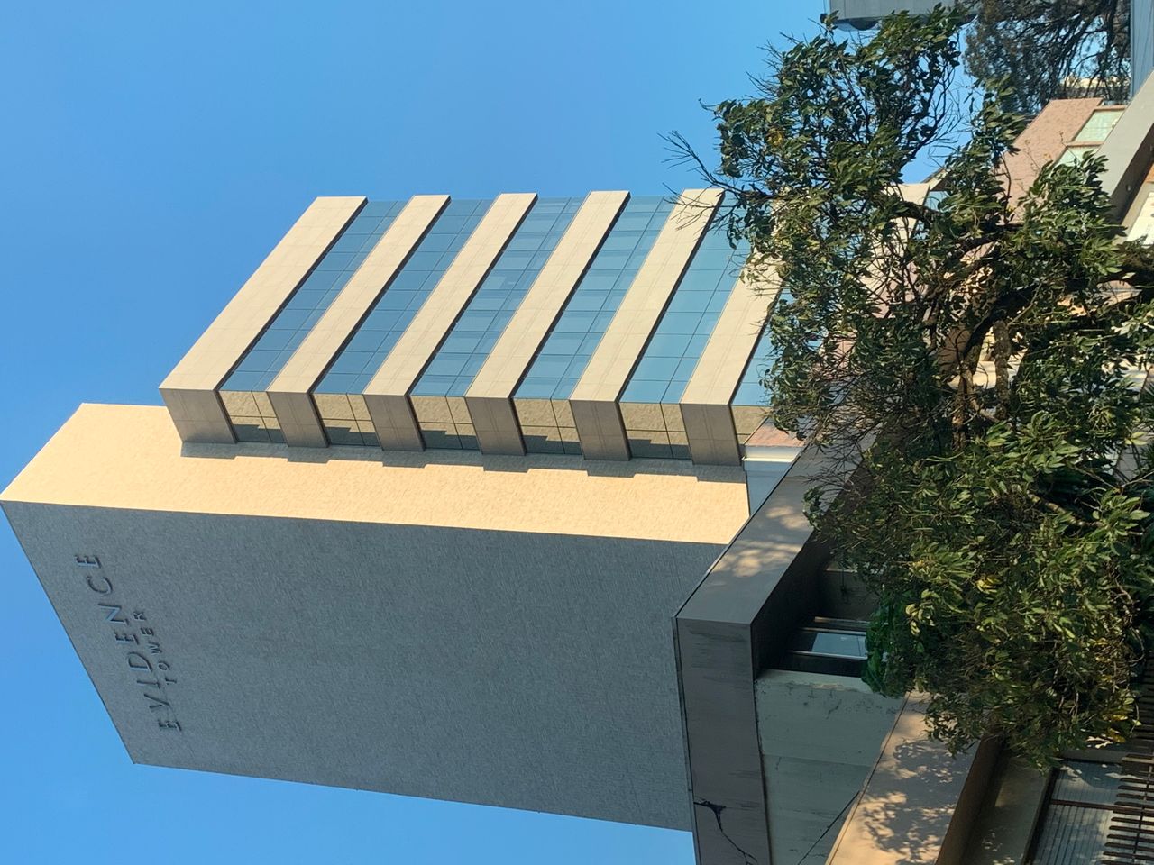 Raquel Scherer De Fraga-2