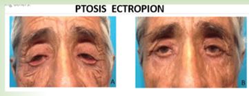 Jorge Schwember Fernandez-9