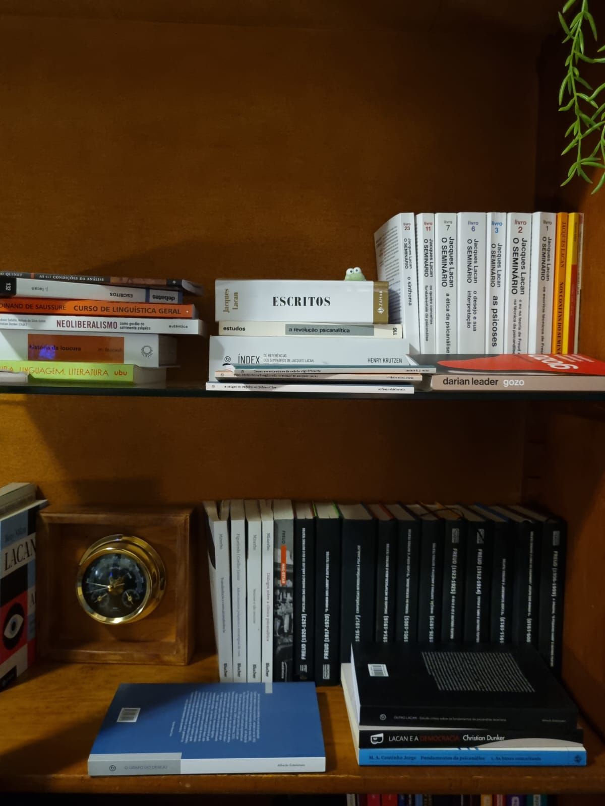 João Vitor Pereira Ranieri-0