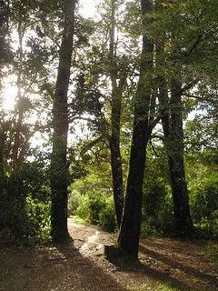 Victor Astete Contreras-5