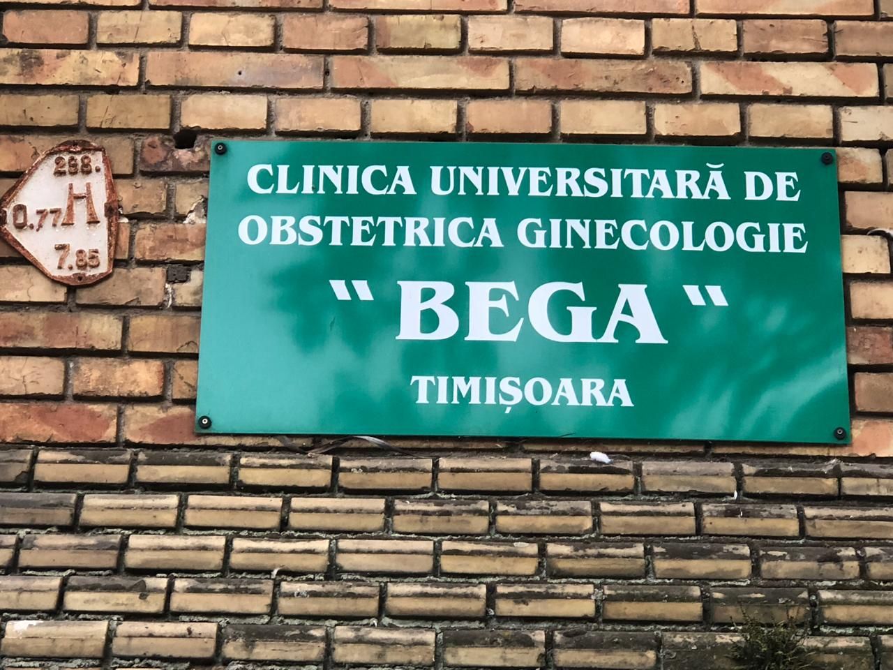 Liane Silva Rafael Rogério-40