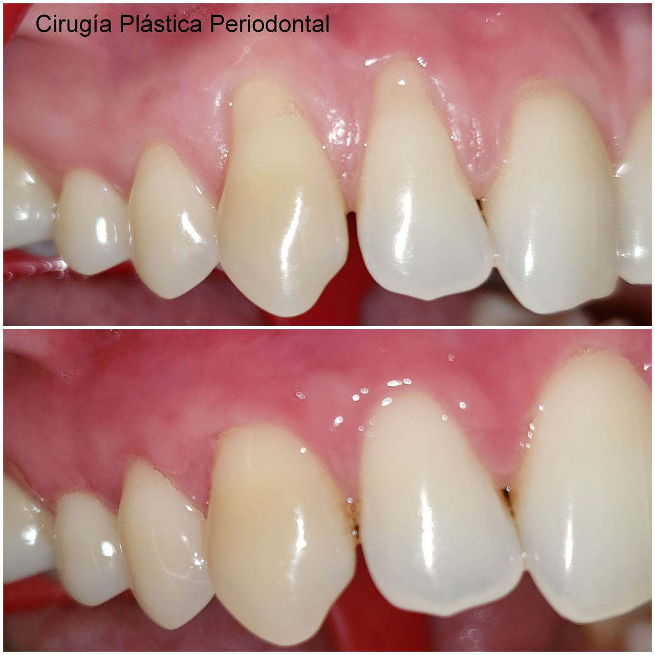 Rodrigo Adolfo Pailamilla Munoz-5