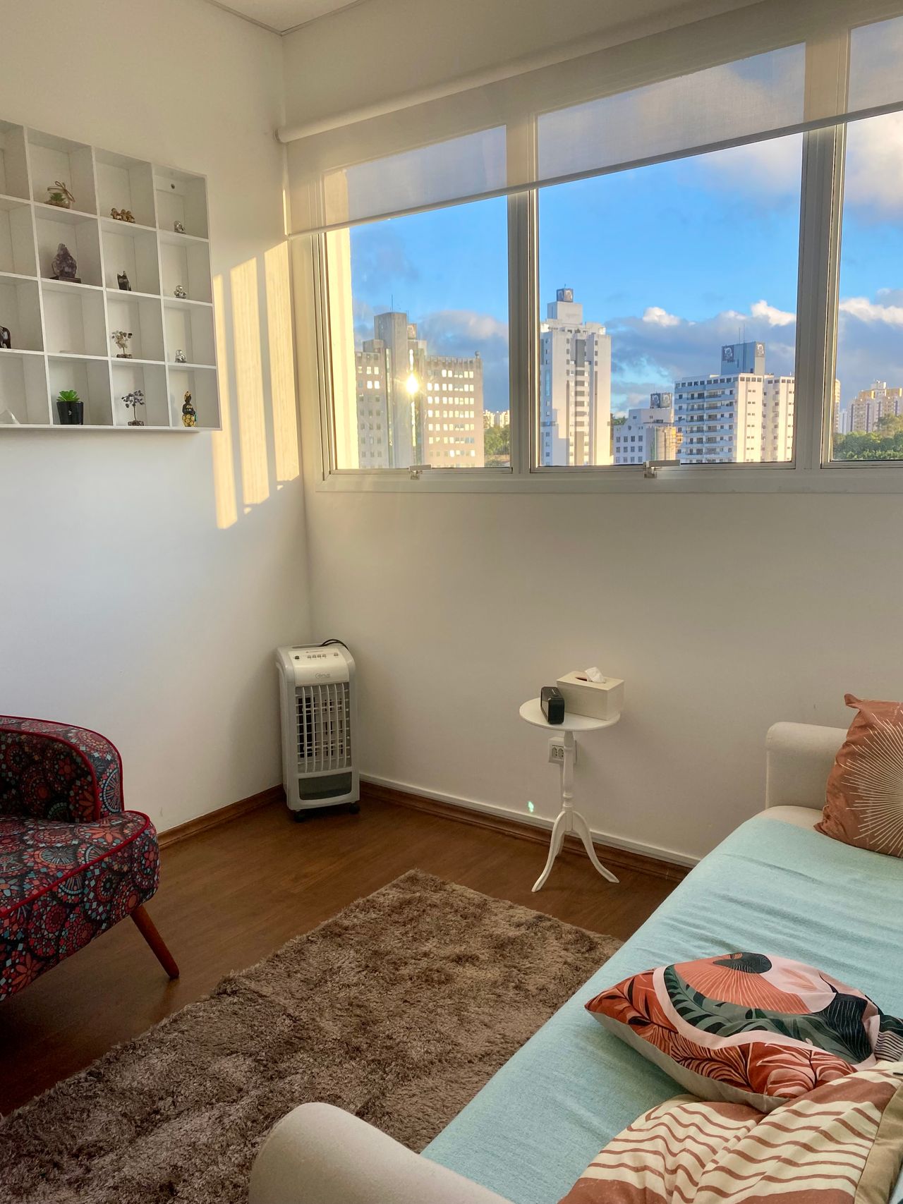 Elaine Medeiros Passarini-2