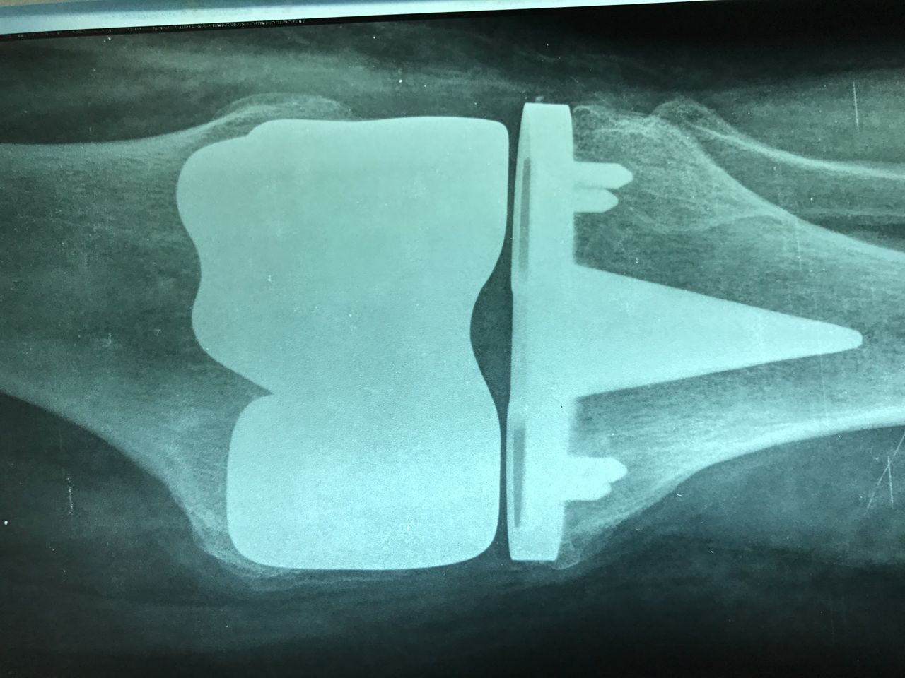 Alexandre Terruggi Jr-10