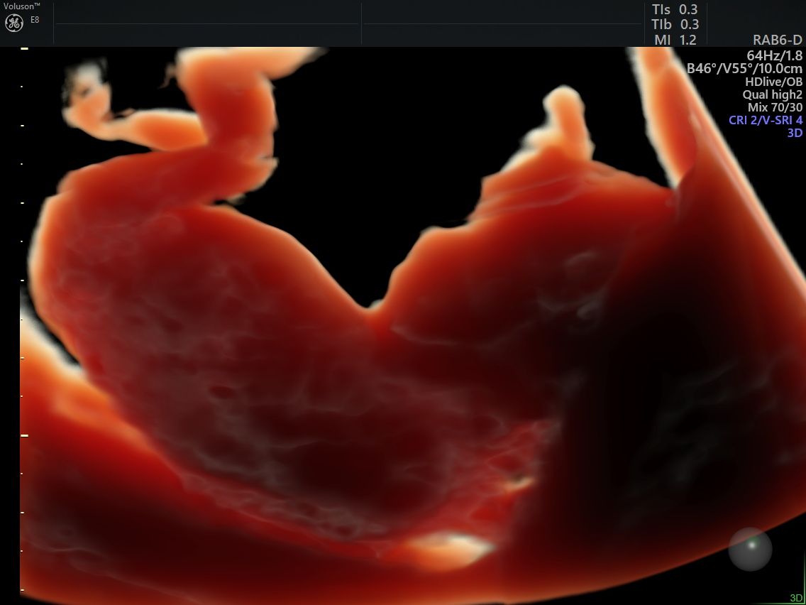 Jessica Paola Barón Avendaño-5