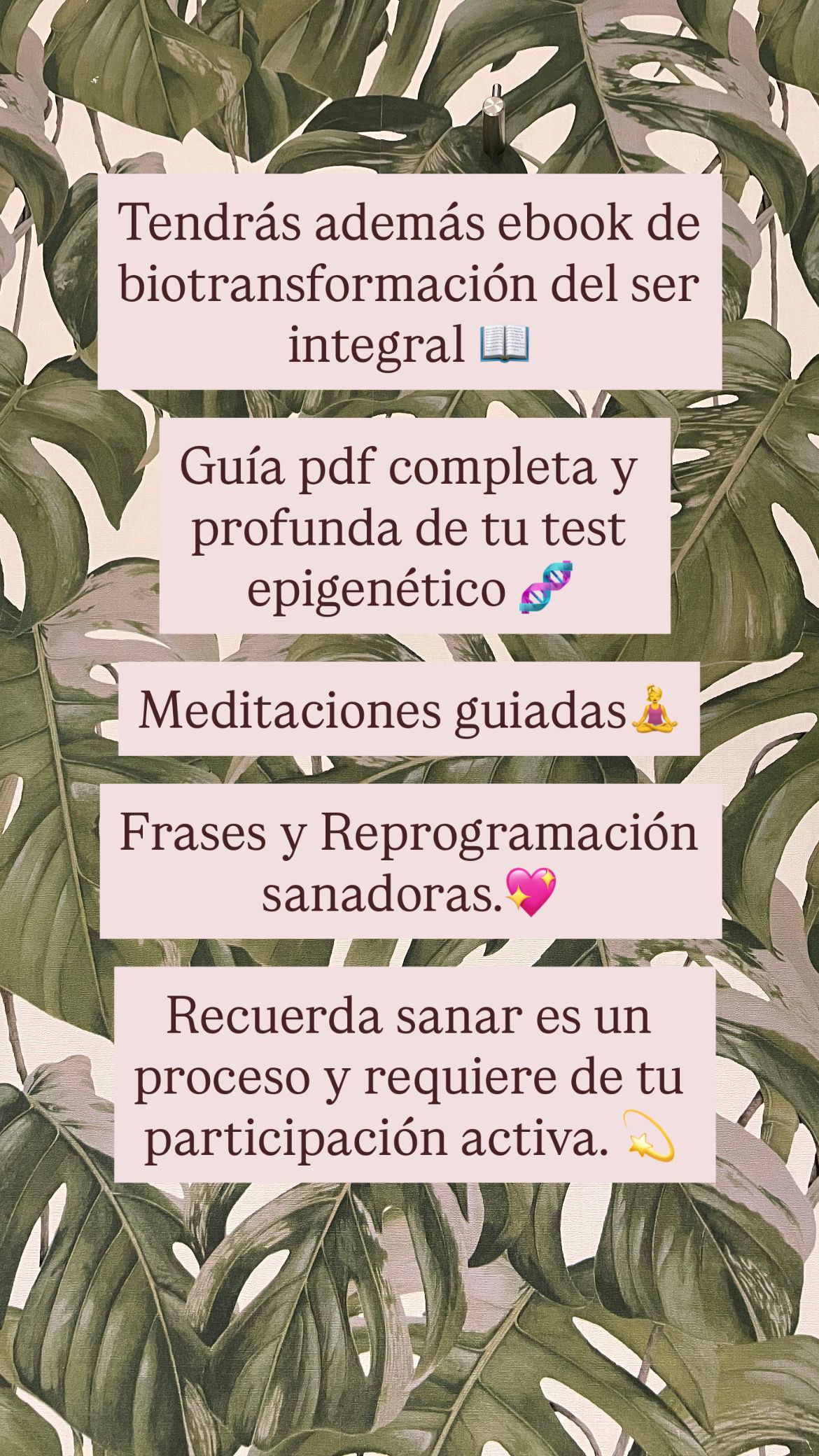 Laura Largo Puentes-19