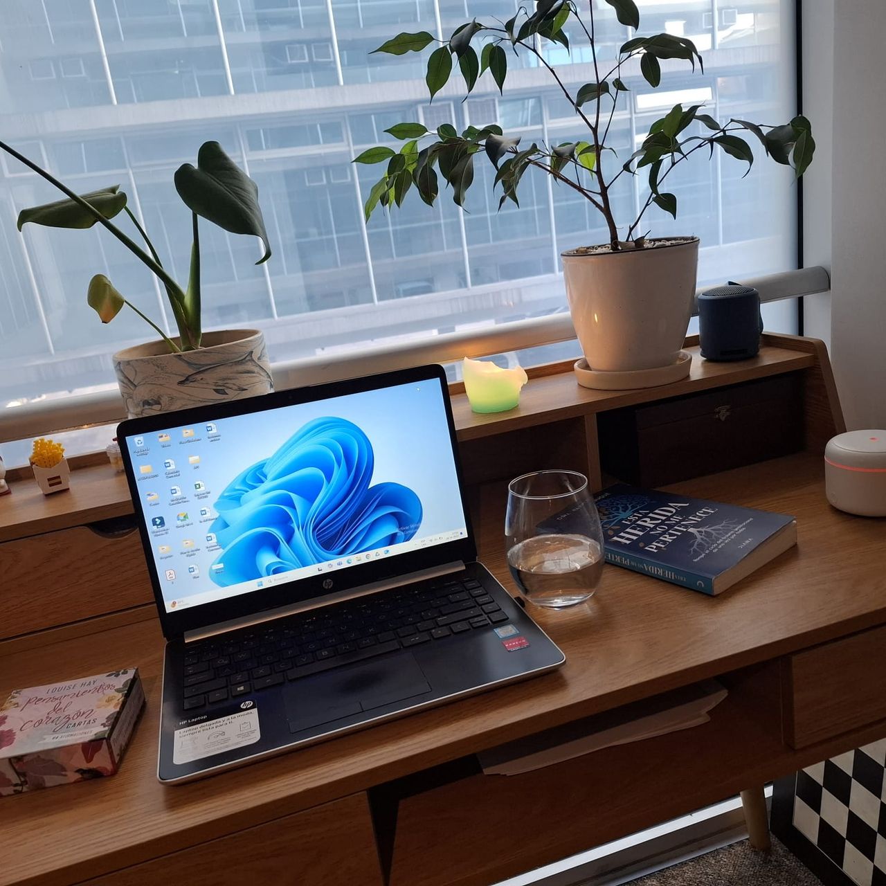 Jennifer Smith Bugueño-3