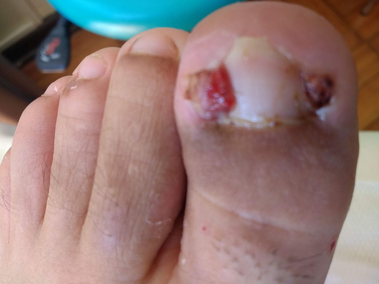 S.patricia Gajardo-5