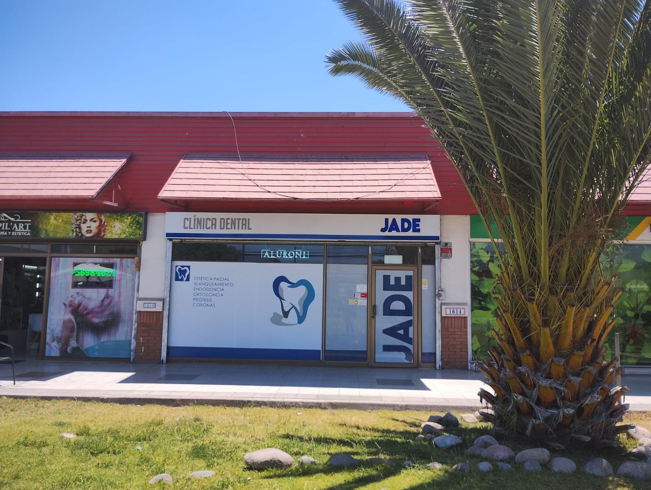 Pamela Melgarejo Rojas-8