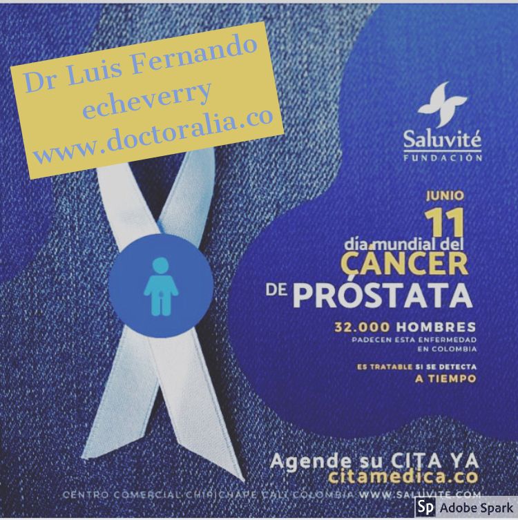 Luis Fernando Echeverry Molina-3