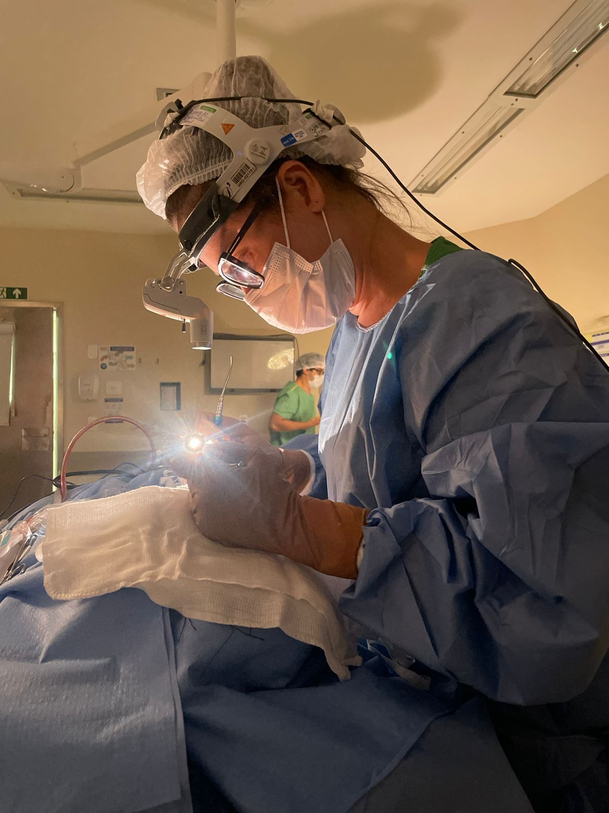 Ana Carolina Daflon Scoralick-4