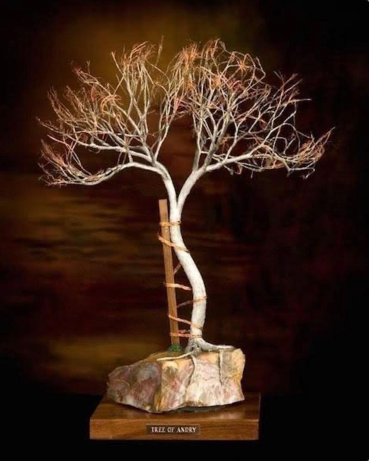 James Augusto Soares Ferro-2