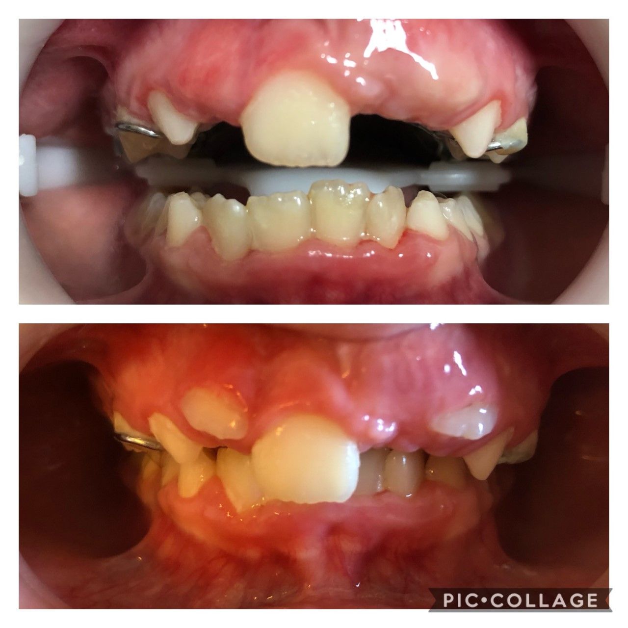 Camila Bezerra De Menezes Silveira-5