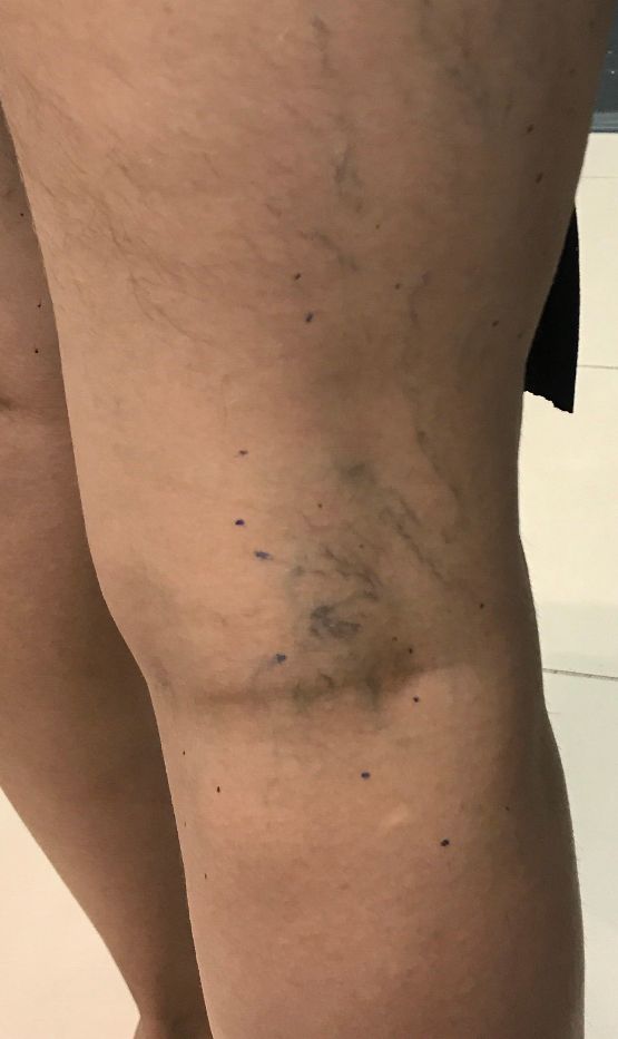 Felipe Soares Ribeiro-9