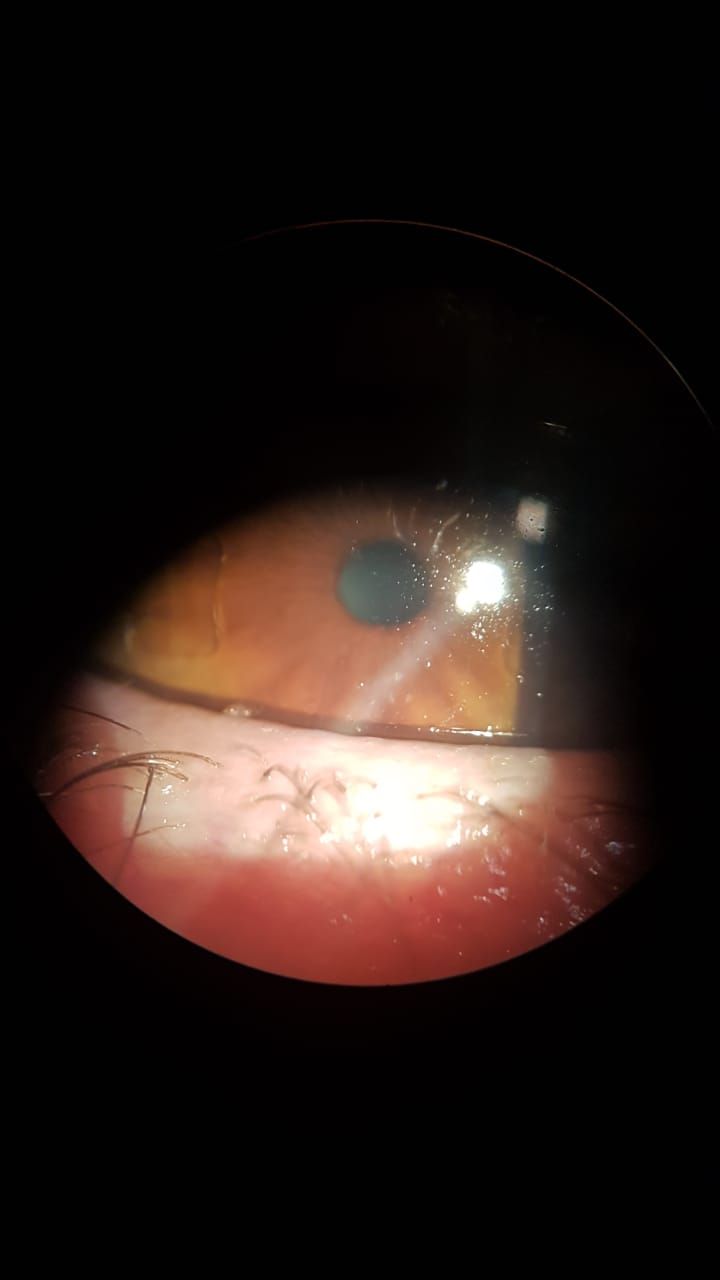 Katerin Marcela Gonzalez Rubiano-1