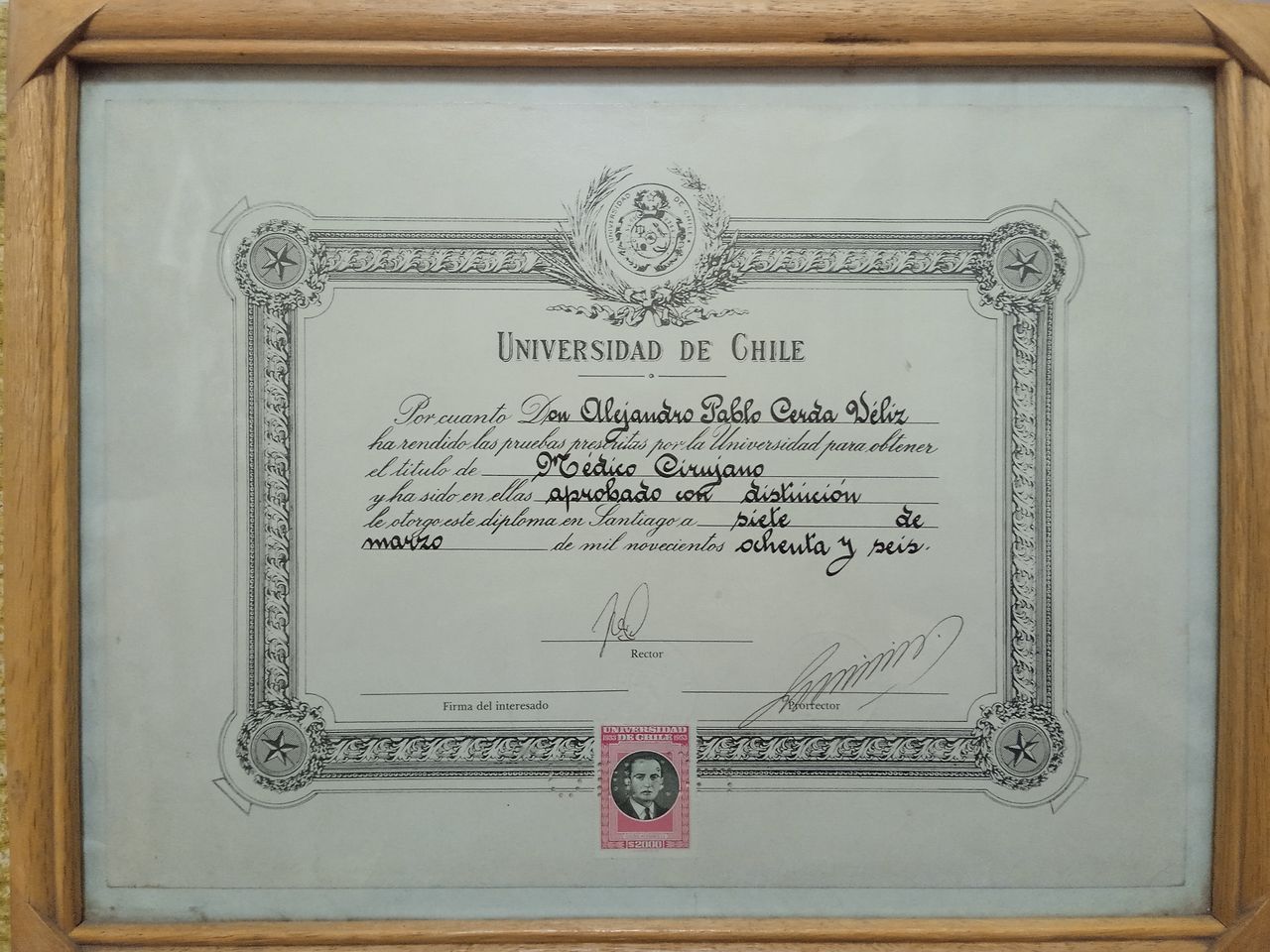 Alejandro Pablo Cerda Veliz-0