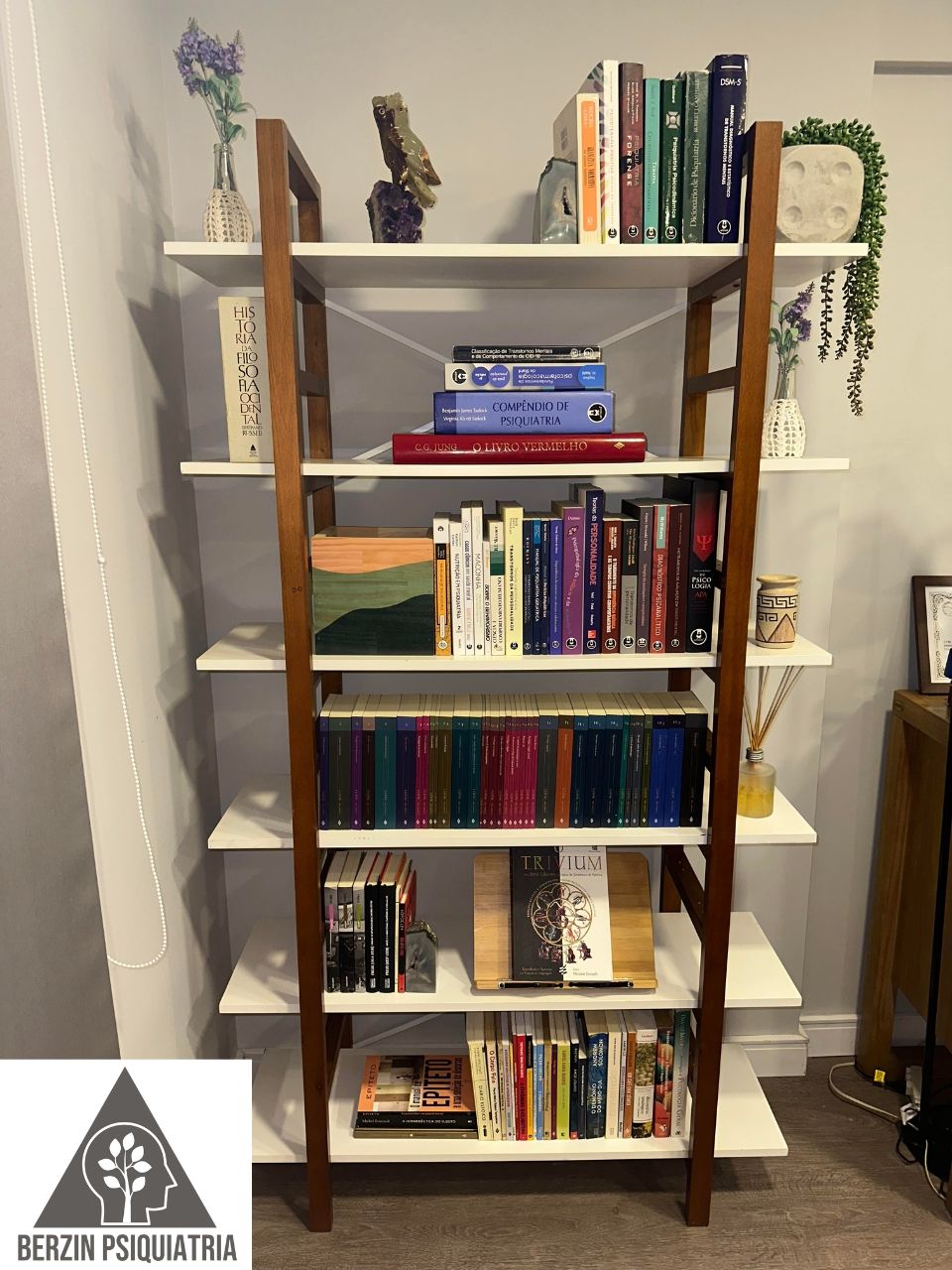 Carlos Eduardo Berzin-4