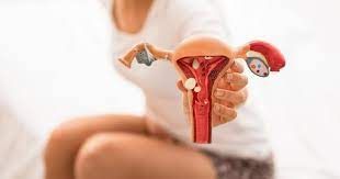 Paula Alejandra Ramirez Riveros-0