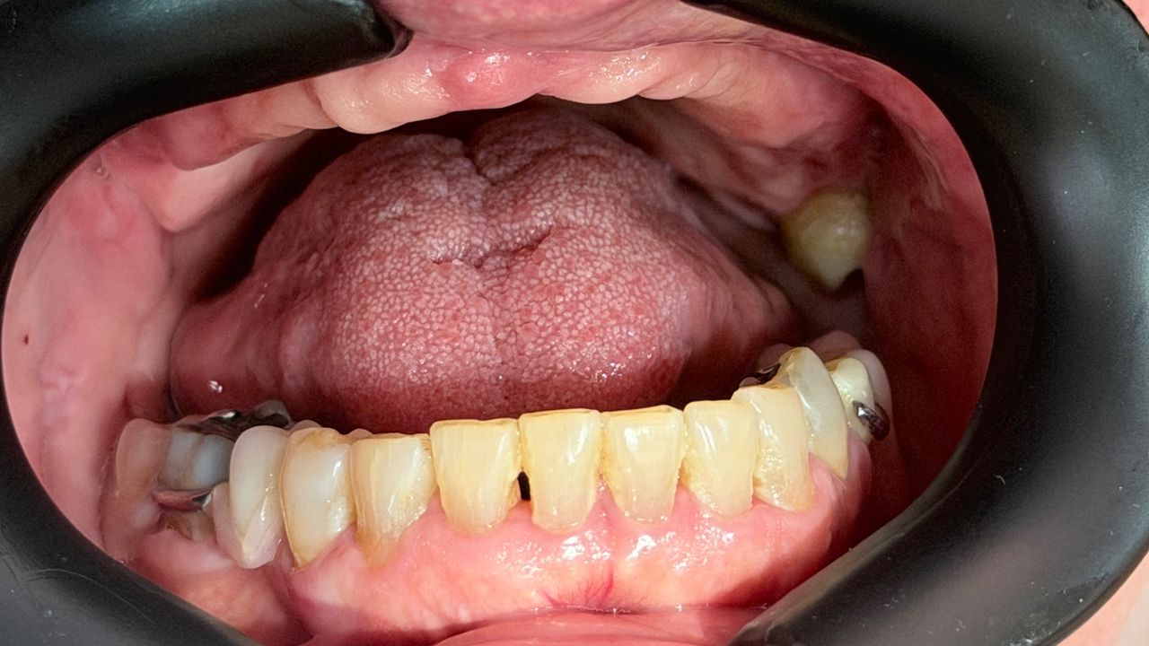 Melissa Vargas Castellanos-43