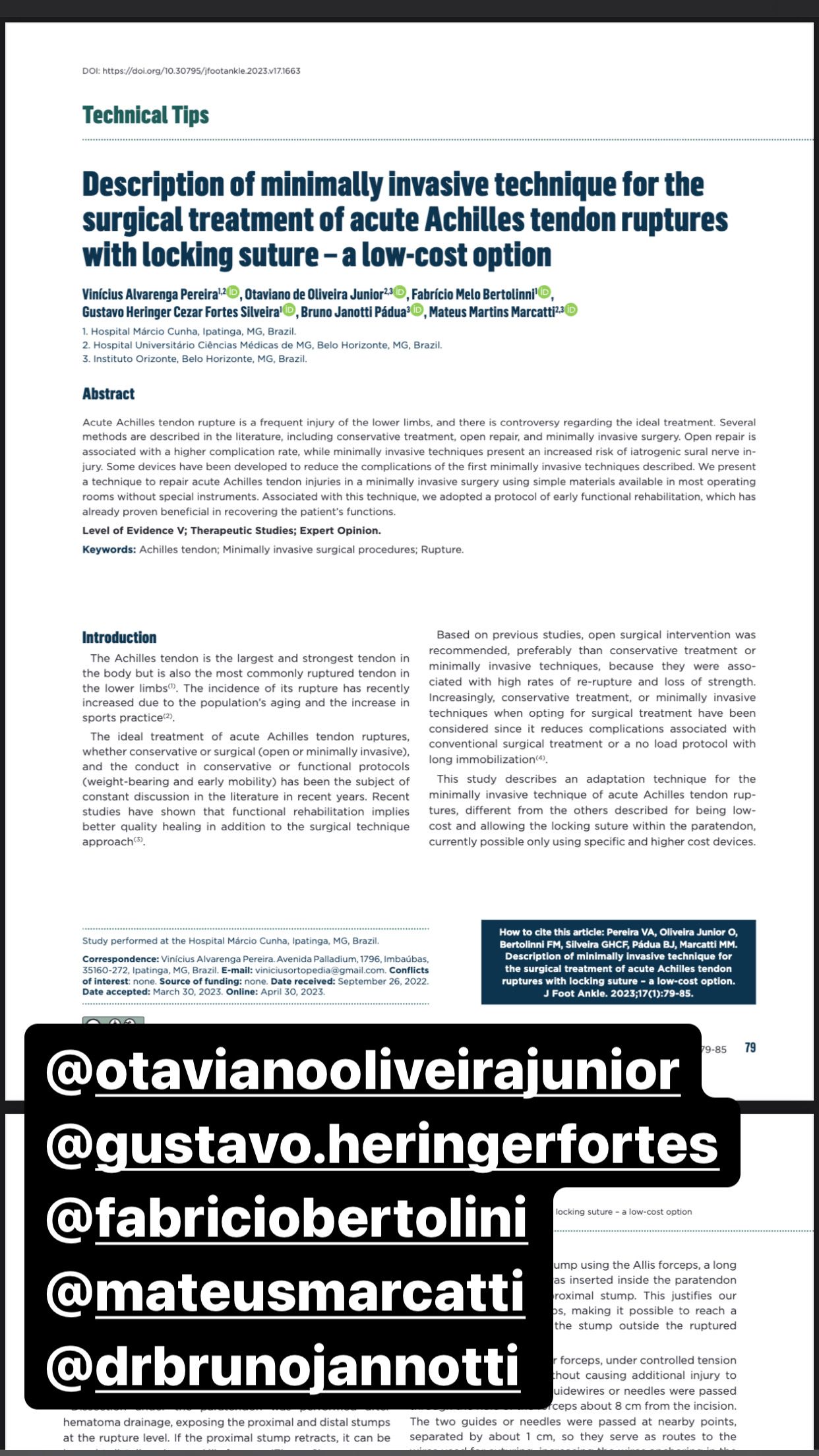 Vinicius Alvarenga Pereira-16