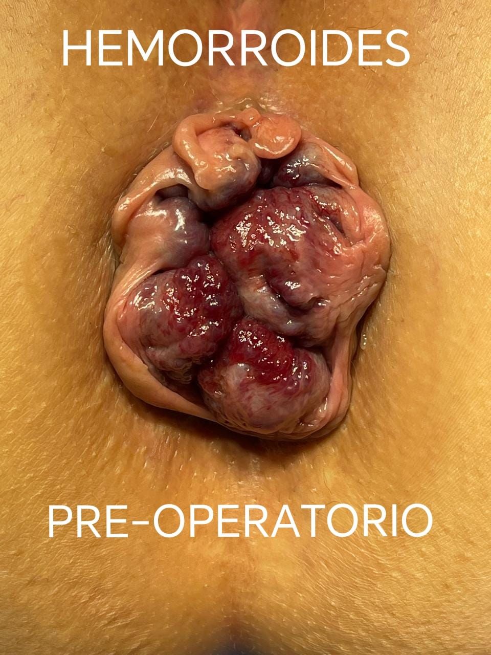 Jorge Carlos Chinchayan Eggart-5