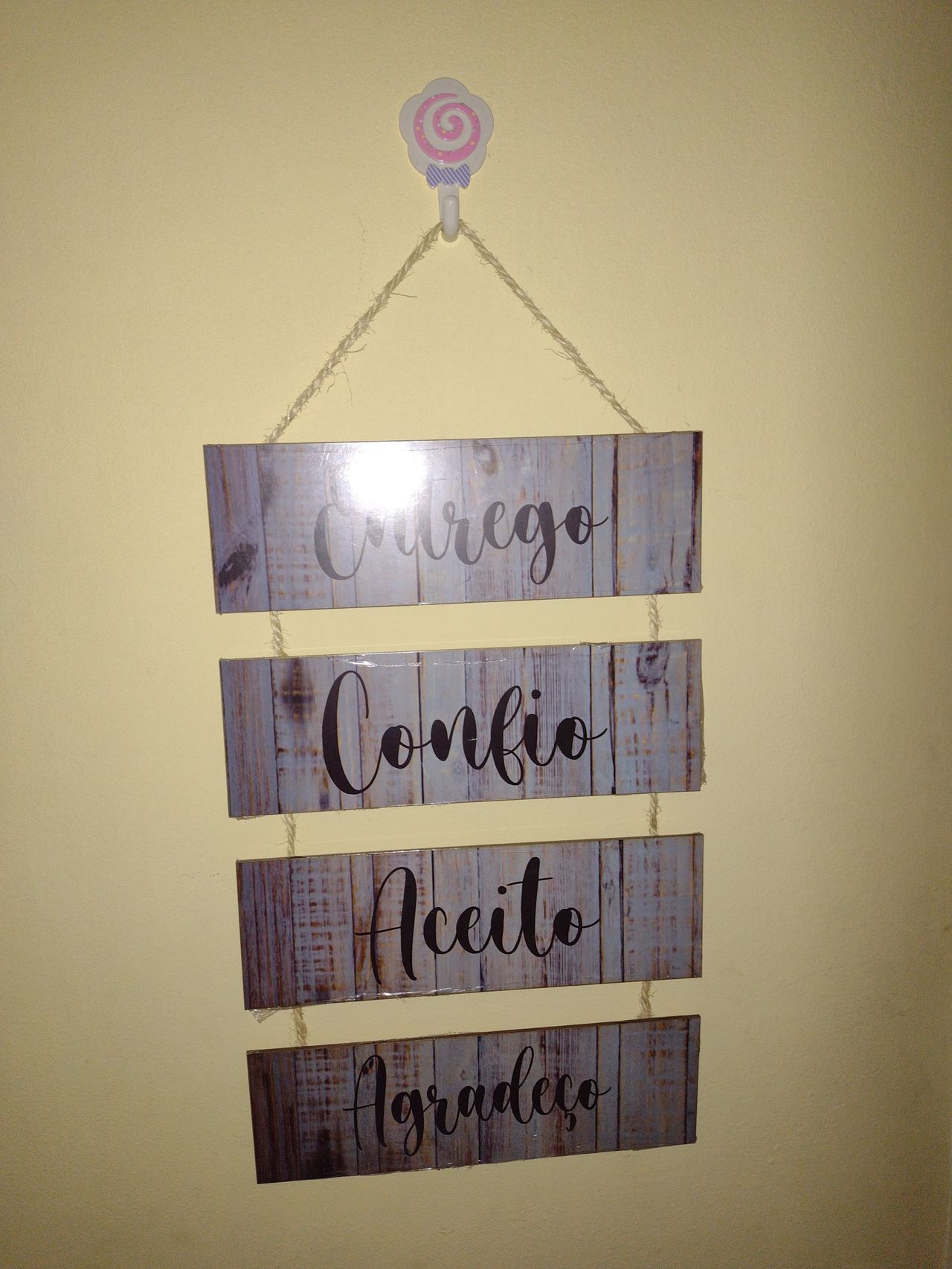 Alexssandra Freitas-7