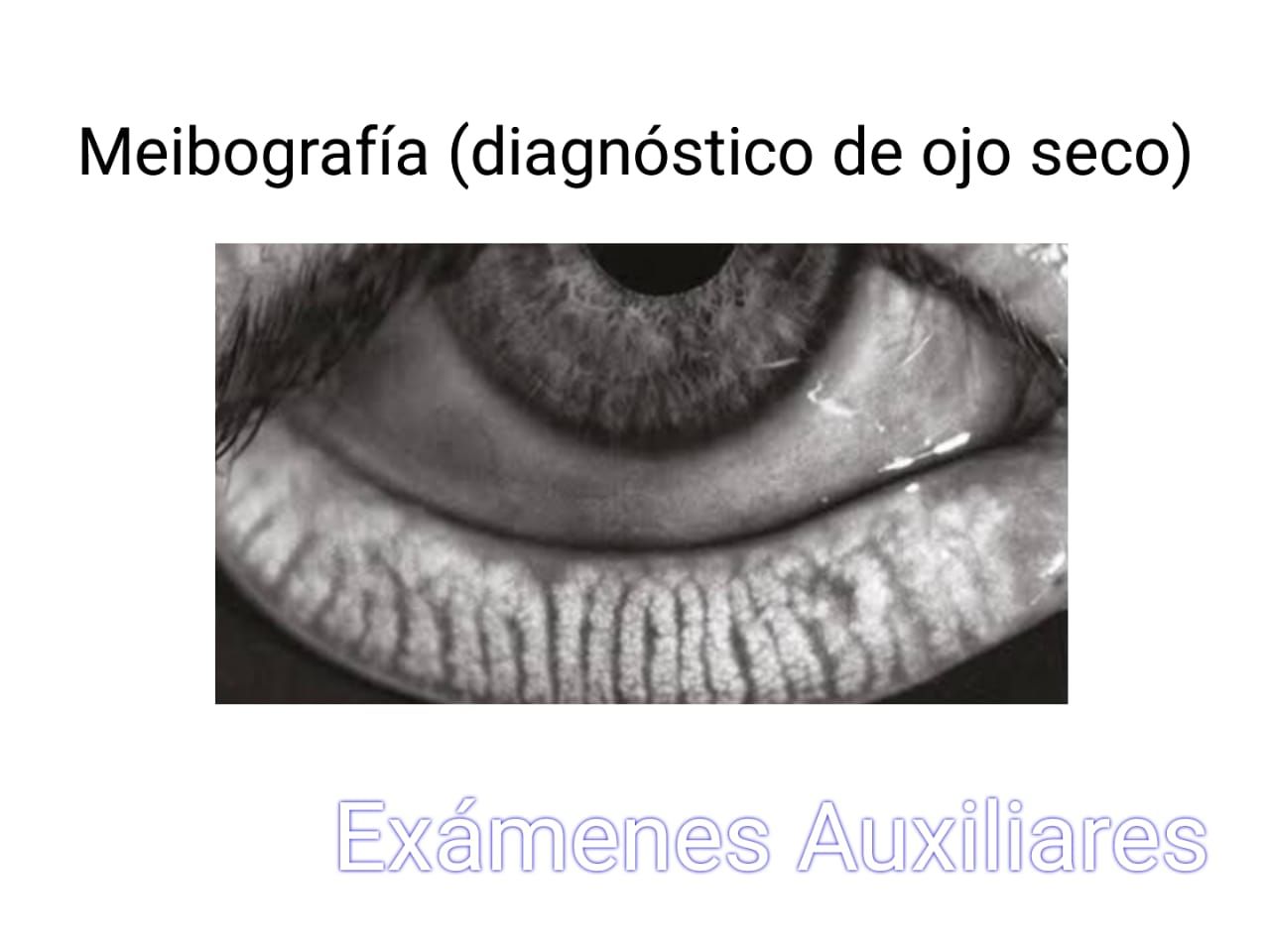 Leslie Rodríguez Montero-4