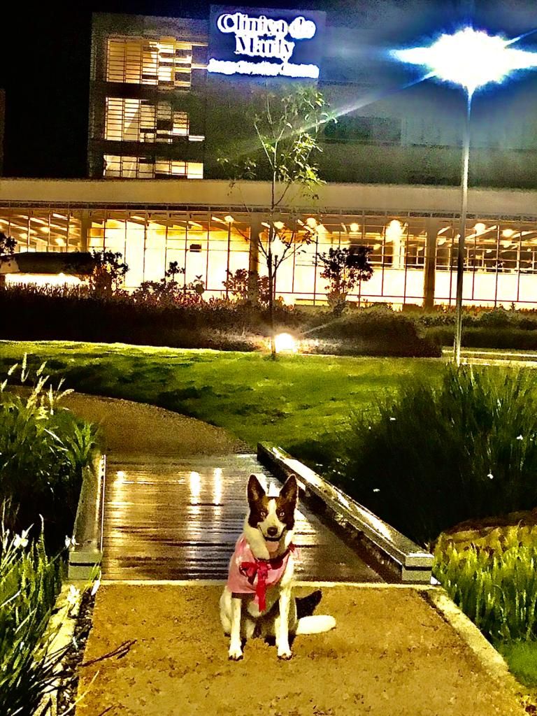 Julio César Murillo Pinto-11