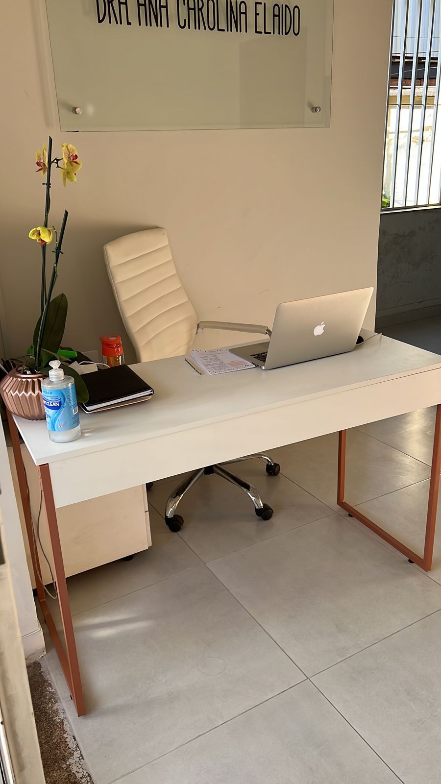 Ana Carolina Elaido Vieira-11