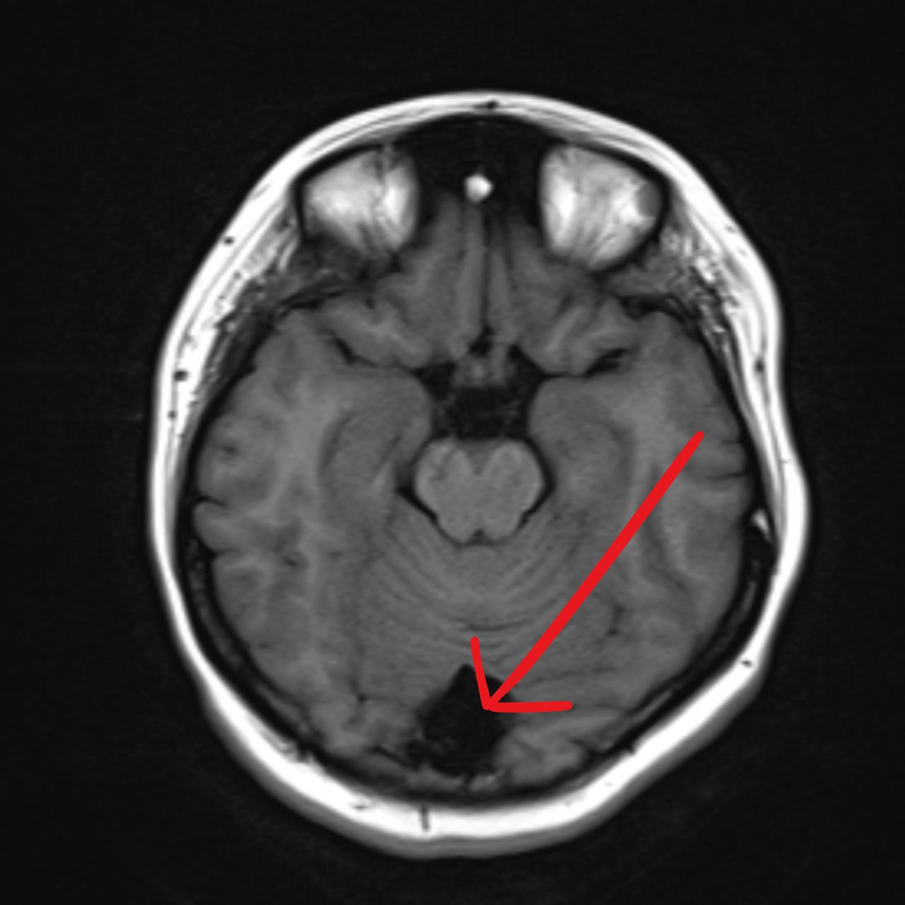 David Tafur Muñoz-1876