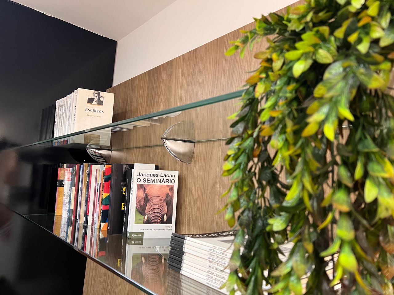 Ana Sílvia Castro-8