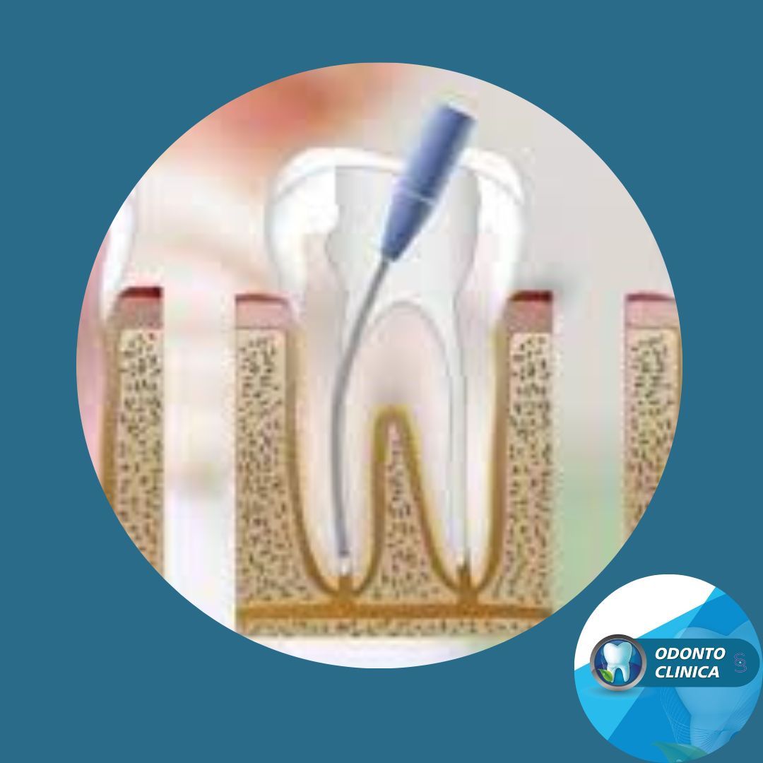 Cecilia Inés Socias Altamirano-30