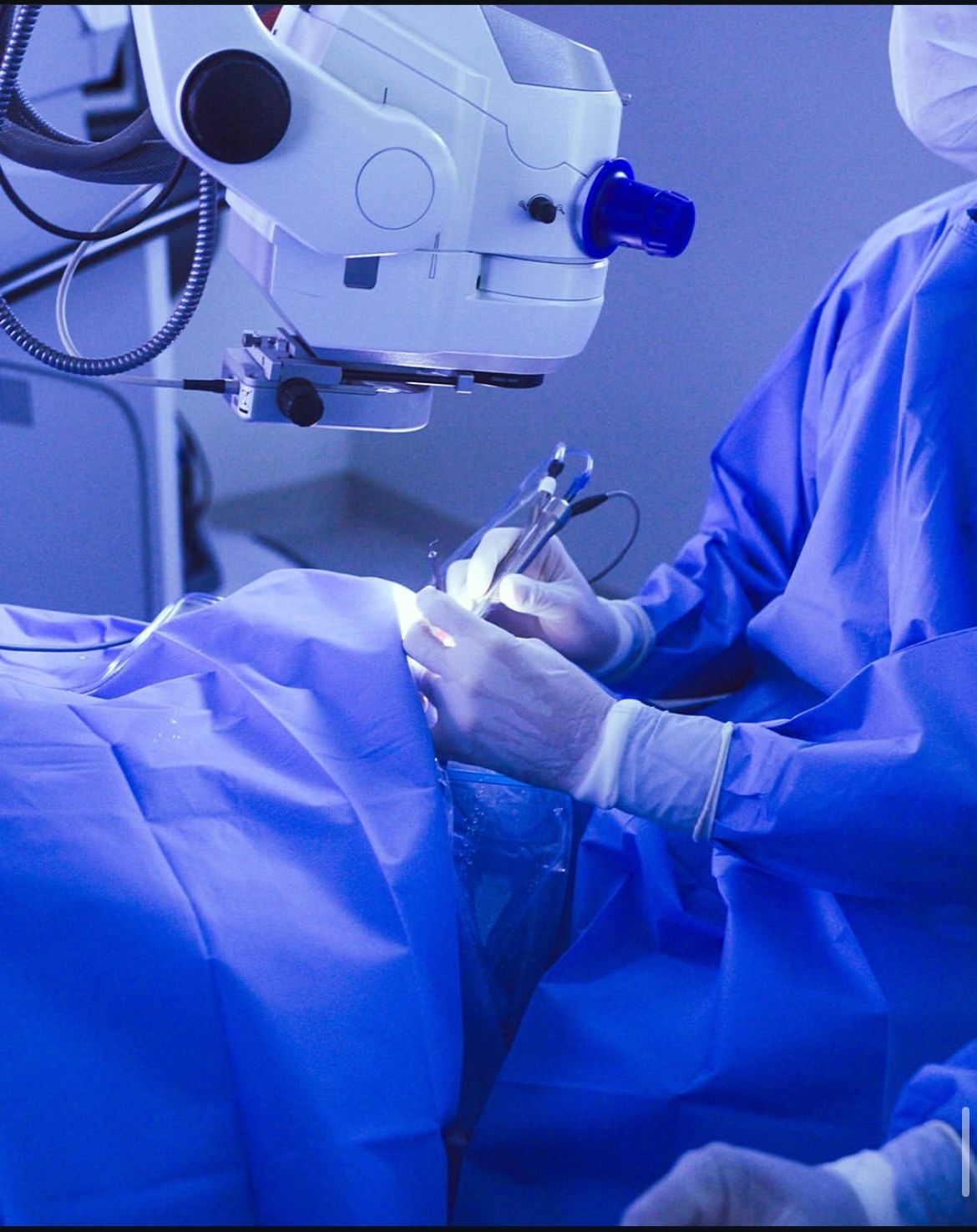 Camila Ávila Geraissate-13