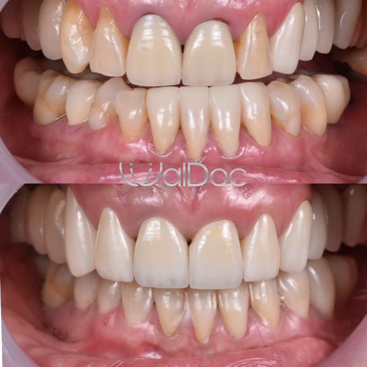 Sharon Andrea Waldo Nicholls-7