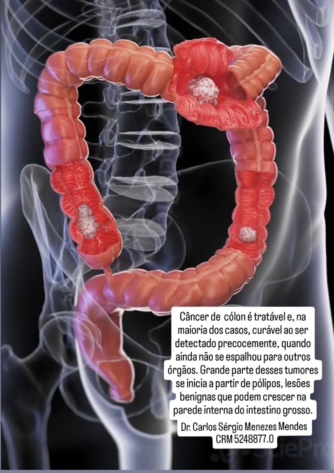 Carlos Sérgio Menezes Mendes-14