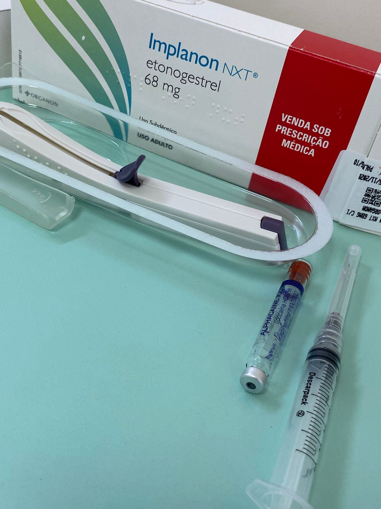 Aline Sylvia Martini P.  Andrade-6