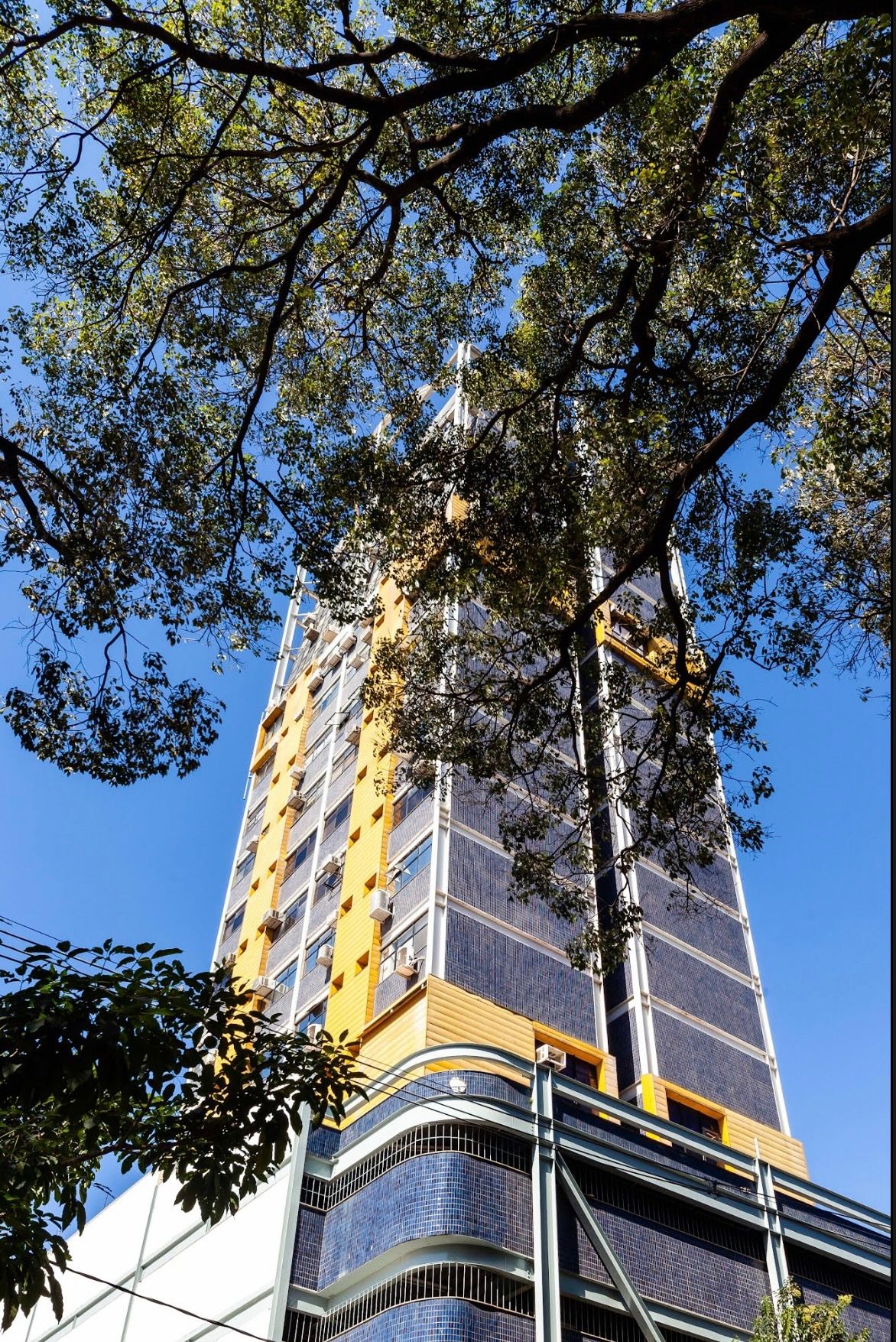 Clarissa Marina Biagioni Silveira-2