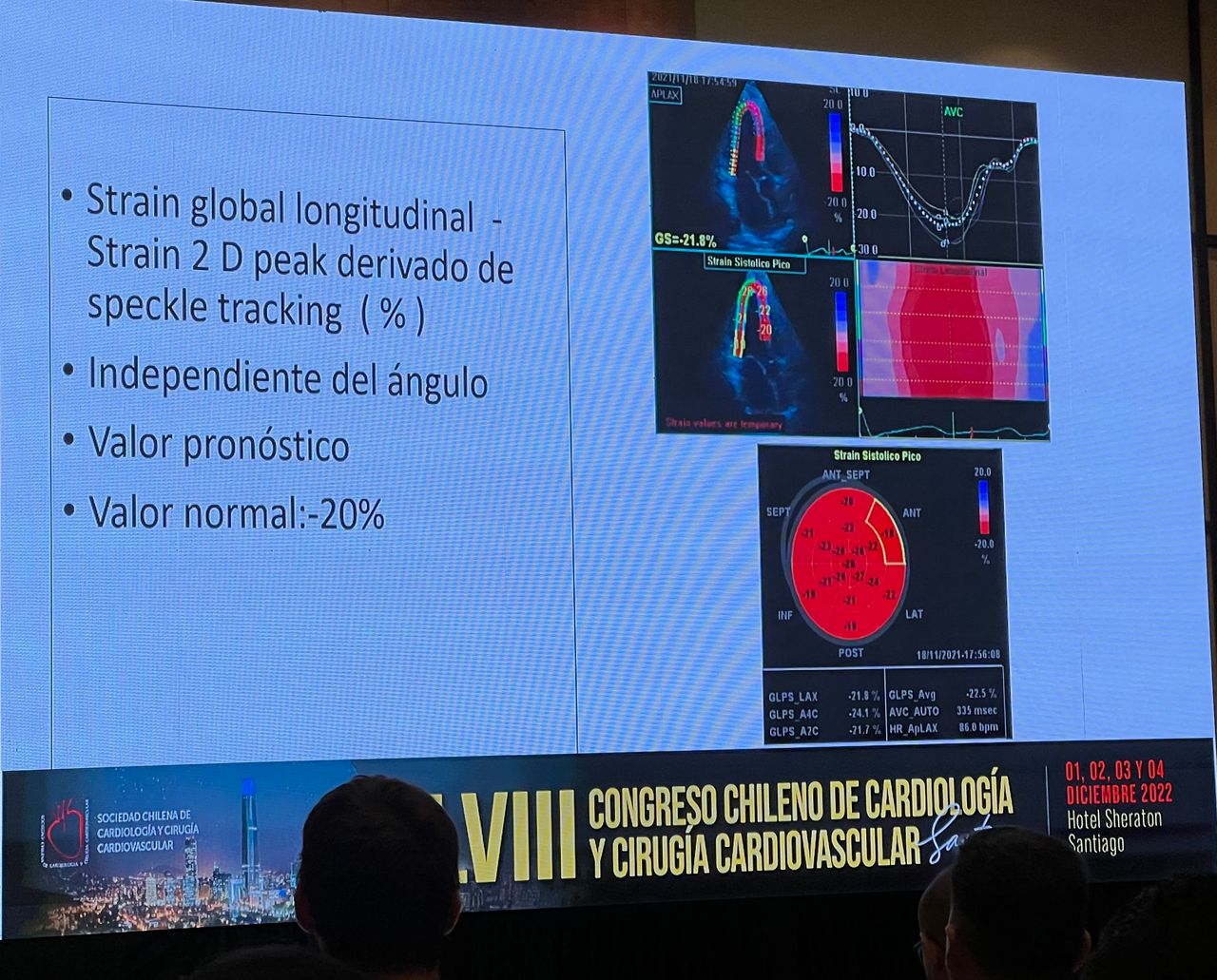 Alejandro Labrin Mancilla-9