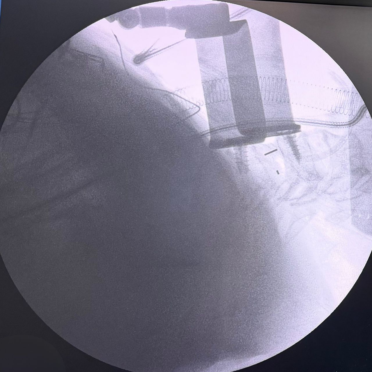 David Tafur Muñoz-2436