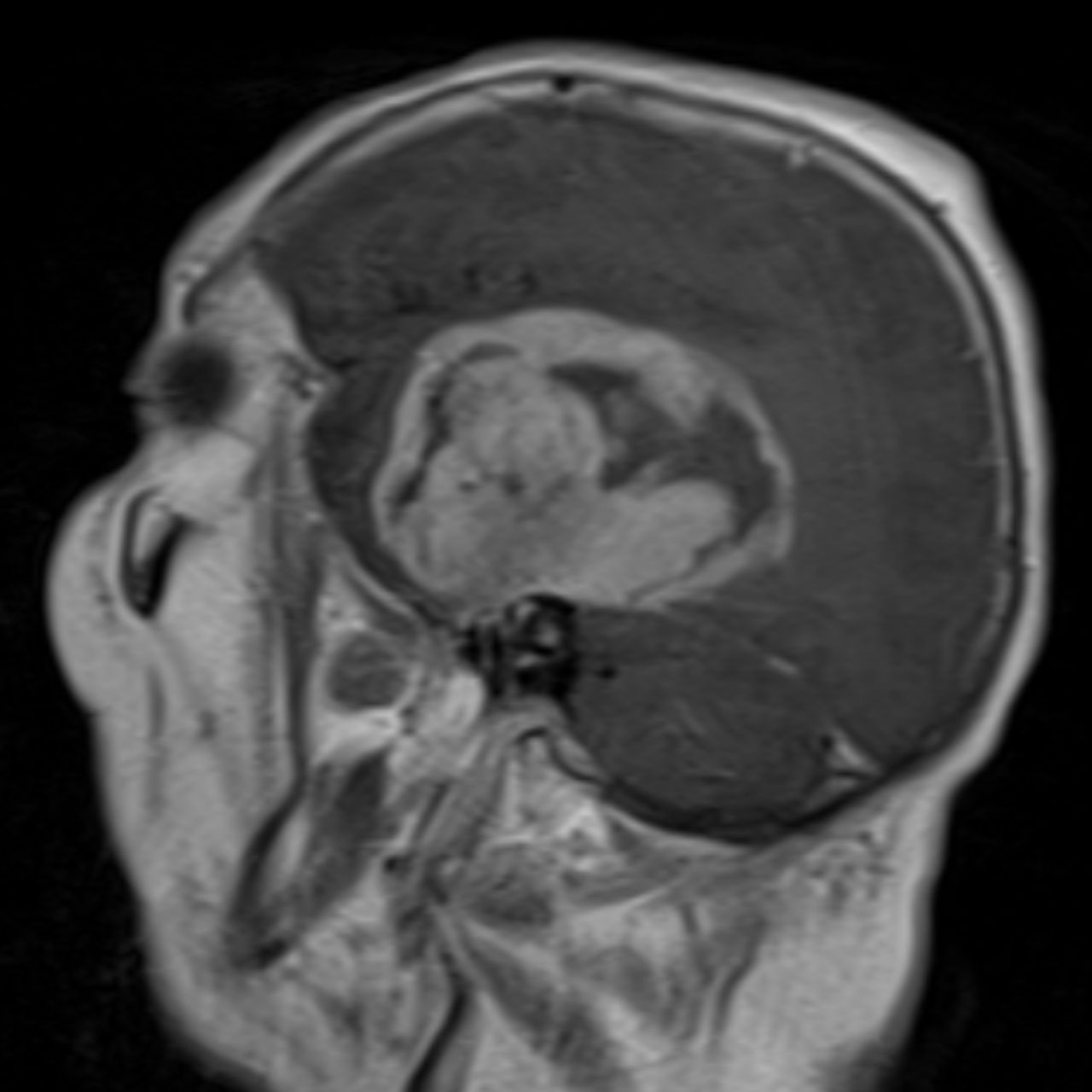 David Tafur Muñoz-1947