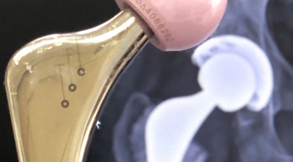 Marcus Vinicius Crestani-6