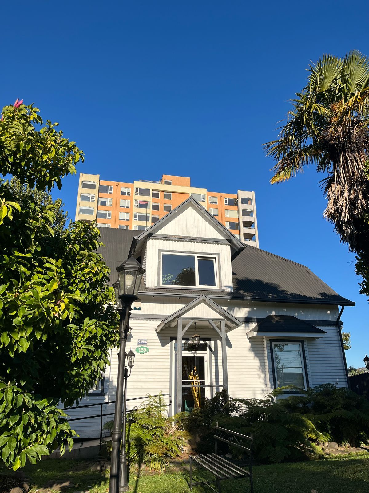 Javiera Manoli Velásquez-4