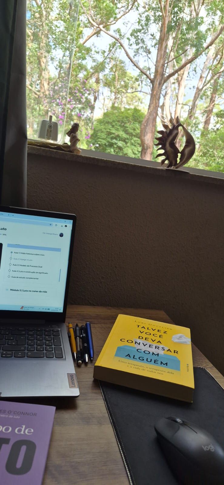 Solange Regina Ribeiro-3