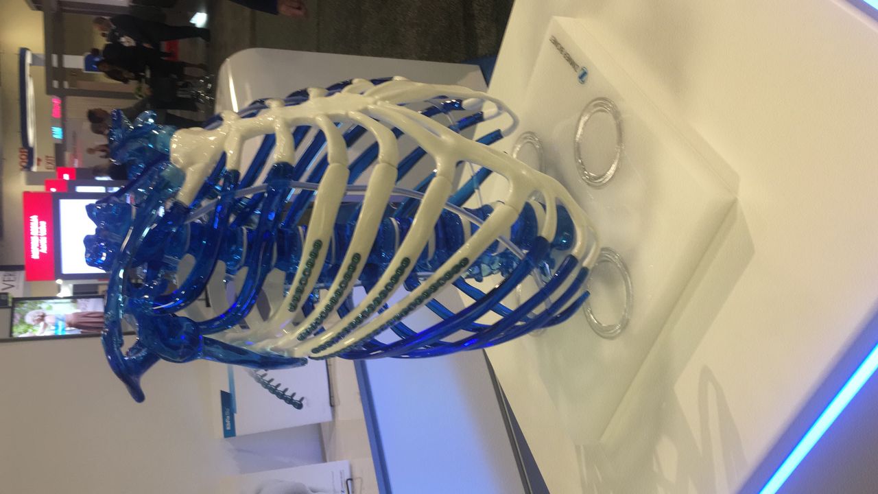 Sandino Ragnini Sá-5