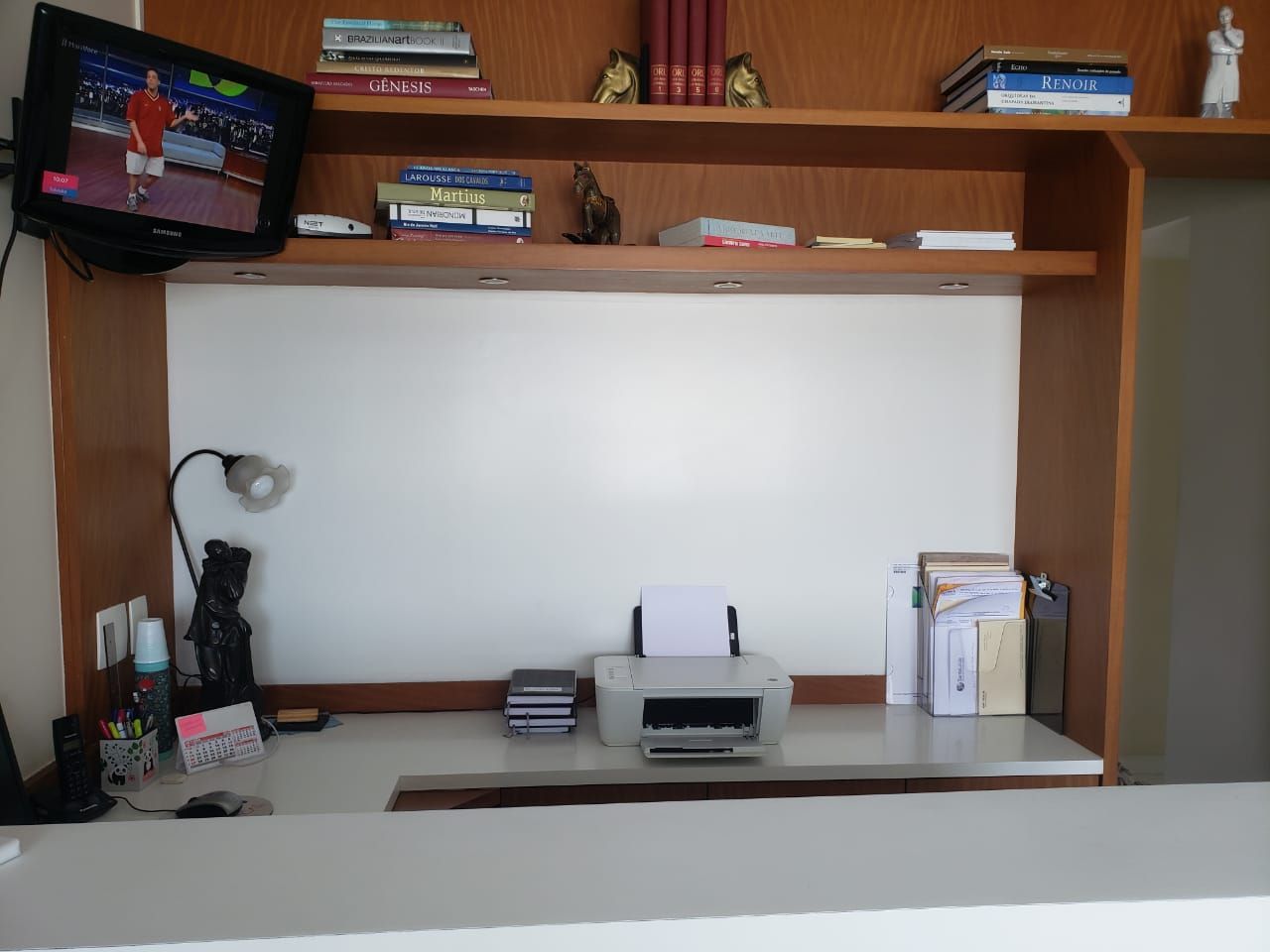 Ana Carolina Teles-1