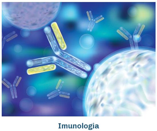 Izabella Cordeiro Freire Saad Rached-10